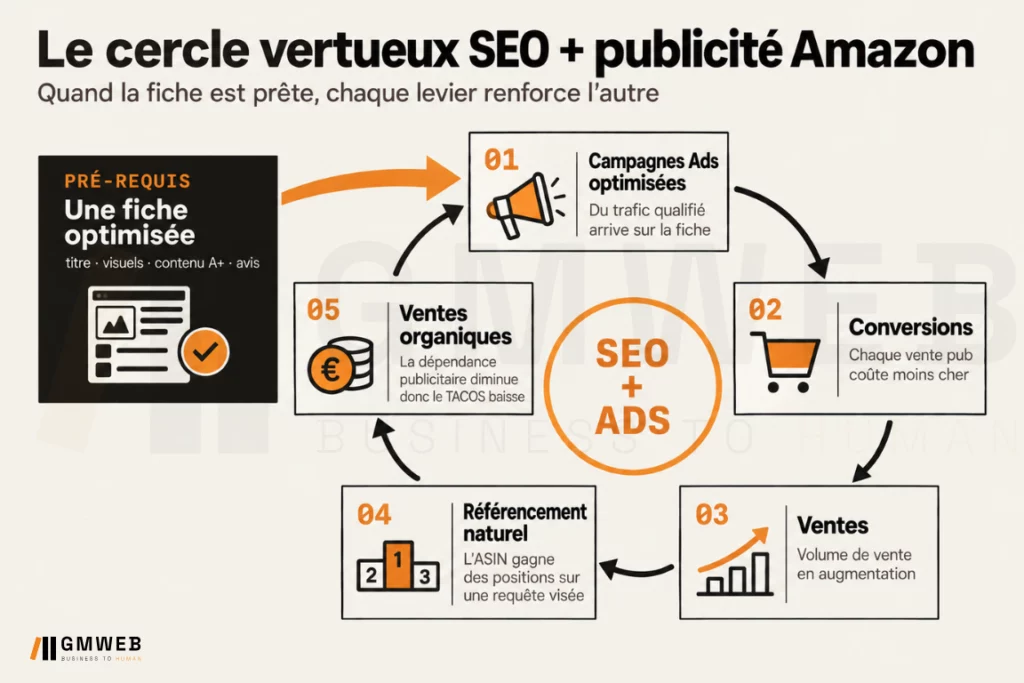 Cercle vertueux SEO et publicité Amazon : fiche optimisée, trafic, conversion, ventes, classement naturel