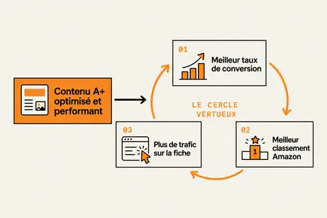 Cercle vertueux du contenu A+ Amazon : conversion, classement et trafic, avec leurs bénéfices annexes